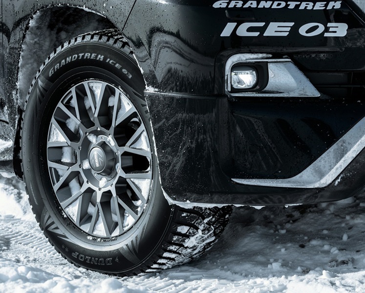 Dunlop GrandTrek Ice 03 (1)